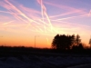 cropped-IMG_2711