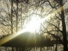 cropped-motljus_N9